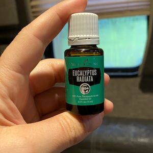 Young Living Eucalyptus Radiata